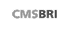 CMS BRI